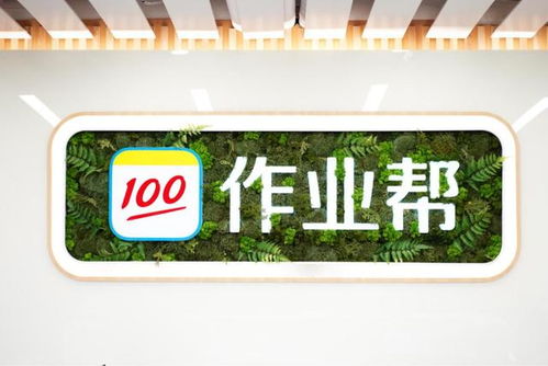 作業(yè)幫逆勢(shì)募集7.5億美元E輪投資 自有流量“核武”效果顯現(xiàn)，職業(yè)教育投資成新突破口